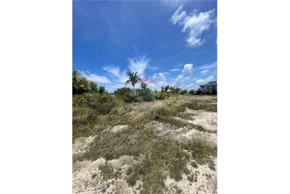 Commercial - Land - Placencia, Stann Creek District, Belize - Caribbean & Central Ameri - 5 - 90127016-256