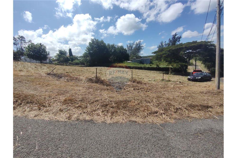 Commercial - Land - Isabela, Isabela, Puerto Rico - Caribbean & Central Ameri - 2 - 902461013-9