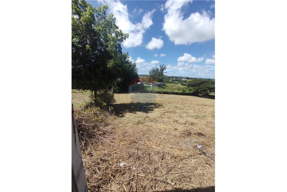 Commercial - Land - Isabela, Isabela, Puerto Rico - Caribbean & Central Ameri - 3 - 902461013-9