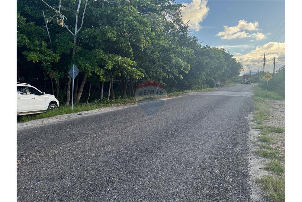 Comercial - Terreno - Placencia, Stann Creek District, Belice - Caribbean & Central Ameri - 8 - 90127003-302