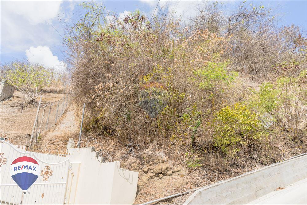 Land - For Sale - Lance aux Epines, Saint George, Grenada - 2 - 902581001-102