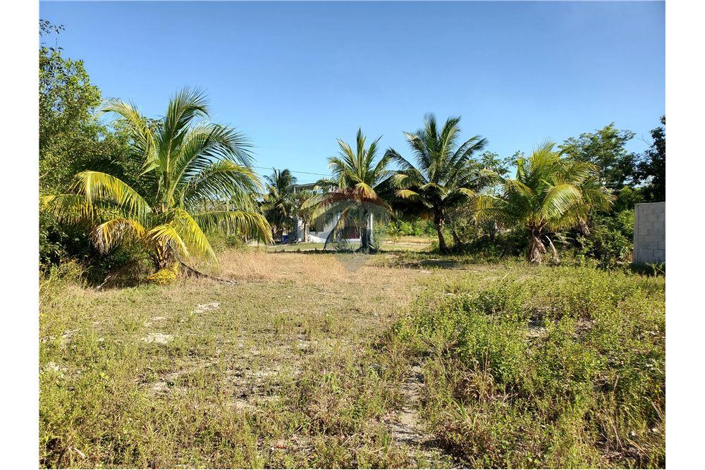 商业 - 土地 - Corozal Town, Corozal District, 伯利兹 - Caribbean & Central Ameri - 7 - 901411007-91