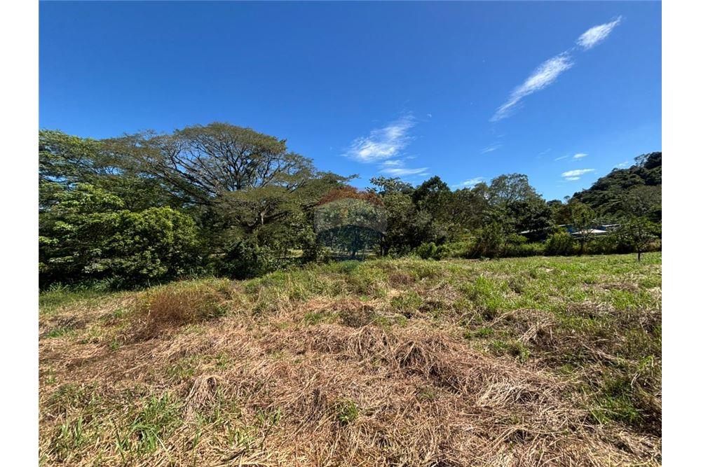 Comercial - Terreno - Atenas, Alajuela- Atenas, Costa Rica - Caribbean & Central Ameri - 30 - 90128002-998