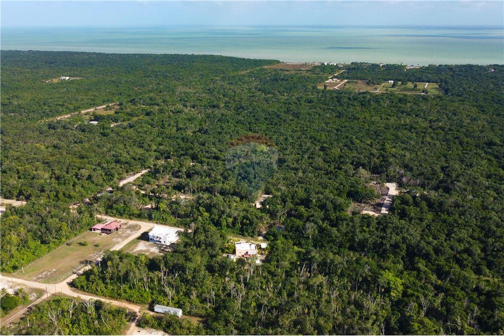 Surface commerciale - Autre terrain - Consejo, Corozal District, Belize - Caribbean & Central Ameri - 4 - 901411007-88
