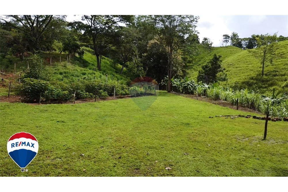 Commercio - Terreno - San José, San José, Costa Rica - Caribbean & Central Ameri - 4 - 90168030-67