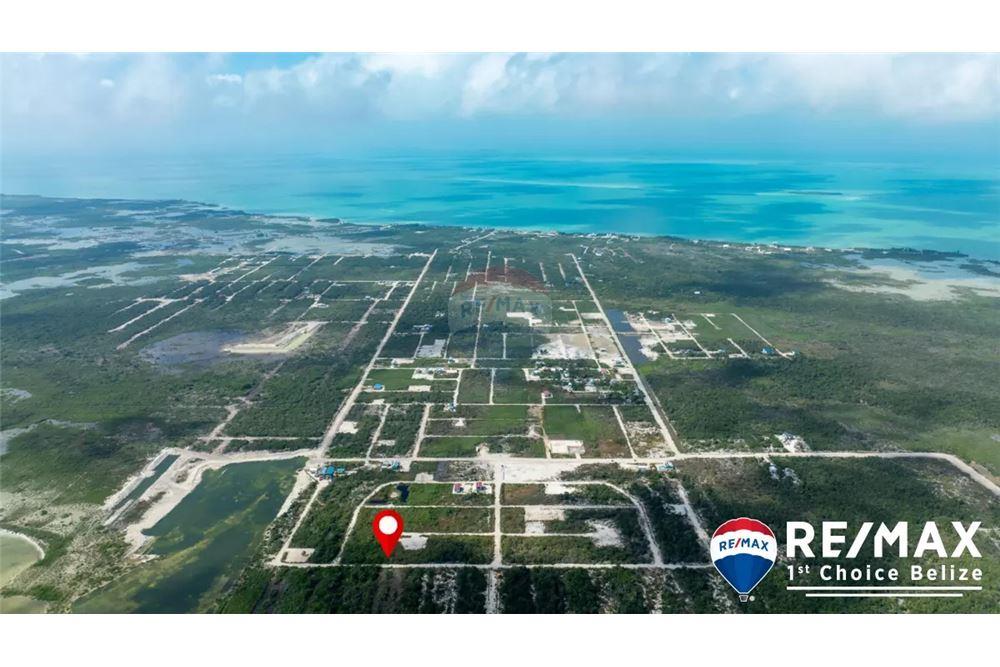 Commercial - Land - San Pedro, Belize District, Belize - Caribbean & Central Ameri - 3 - 90127023-385