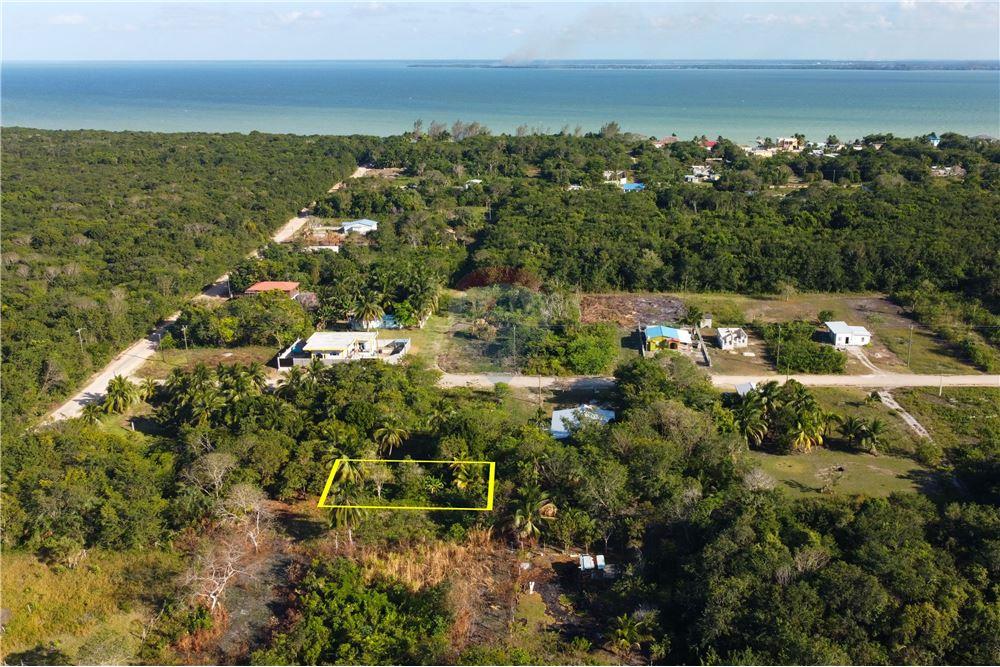 Comercial - Terrenos - Corozal Town, Corozal District, Belize - Caribbean & Central Ameri - 1 - 901411007-93