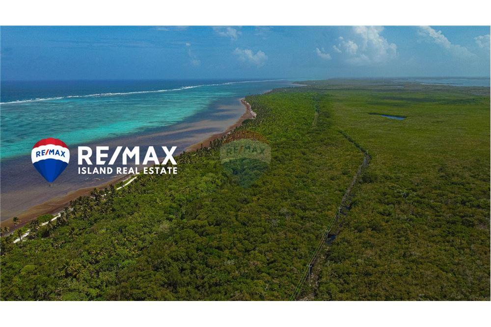 Commercial - Land - Ambergris Caye, Ambergris Caye, Belize - Caribbean & Central Ameri - 6 - 90135015-93