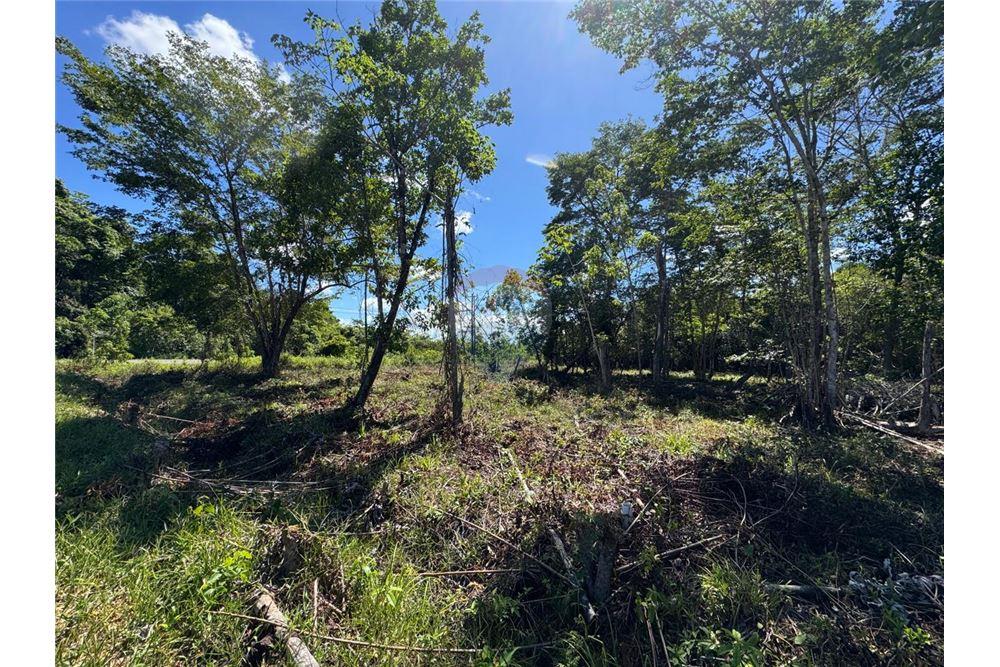 Comercial - Terreno - Hopkins, Stann Creek District, Belice - Caribbean & Central Ameri - 5 - 90127003-307