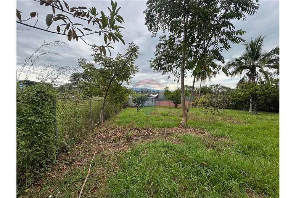 商业 - 土地 - Atenas, Alajuela- Atenas, 哥斯达黎加 - Caribbean & Central Ameri - 7 - 90128002-986