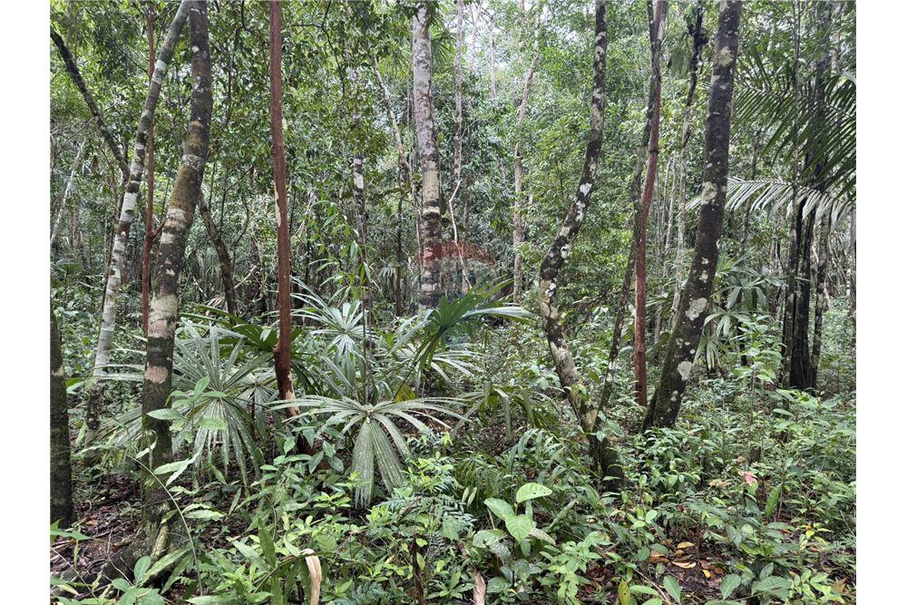 Commercial - Land - Punta Gorda, Toledo District, Belize - Caribbean & Central Ameri - 2 - 90127003-294