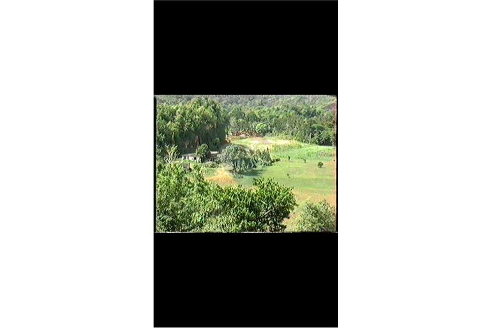 Land - For Sale - Dorado, Dorado, Puerto Rico - 16 - 90102025-331