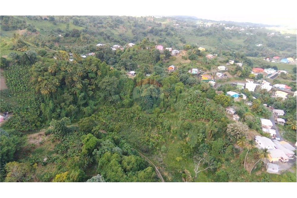 Comercial - Terrenos - Adelphi, St Vincent, St Vincent and the Grenadines - Caribbean & Central Ameri - 5 - 90109004-59