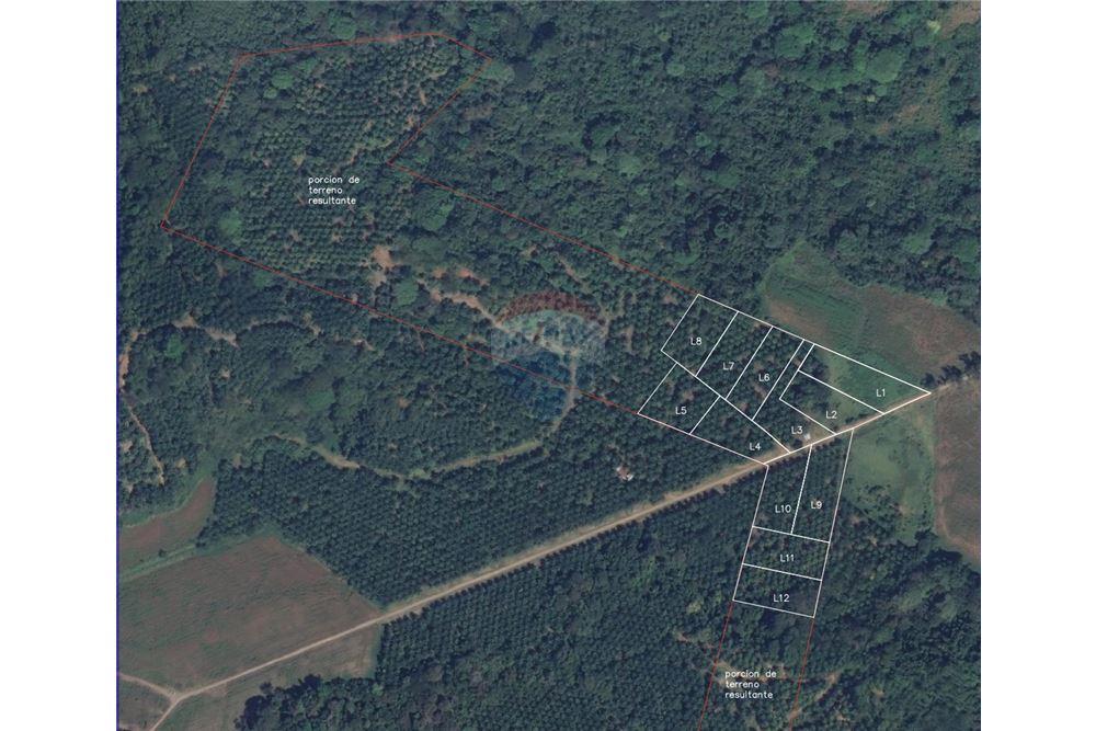 商业 - 土地 - Parrita - Esterillos, Puntarenas - Parrita, 哥斯达黎加 - Caribbean & Central Ameri - 14 - 90168050-29