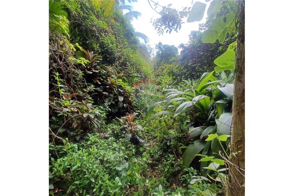 Lote - Venta - Bayamon, Bayamón, Puerto Rico - 3 - 90102070-4