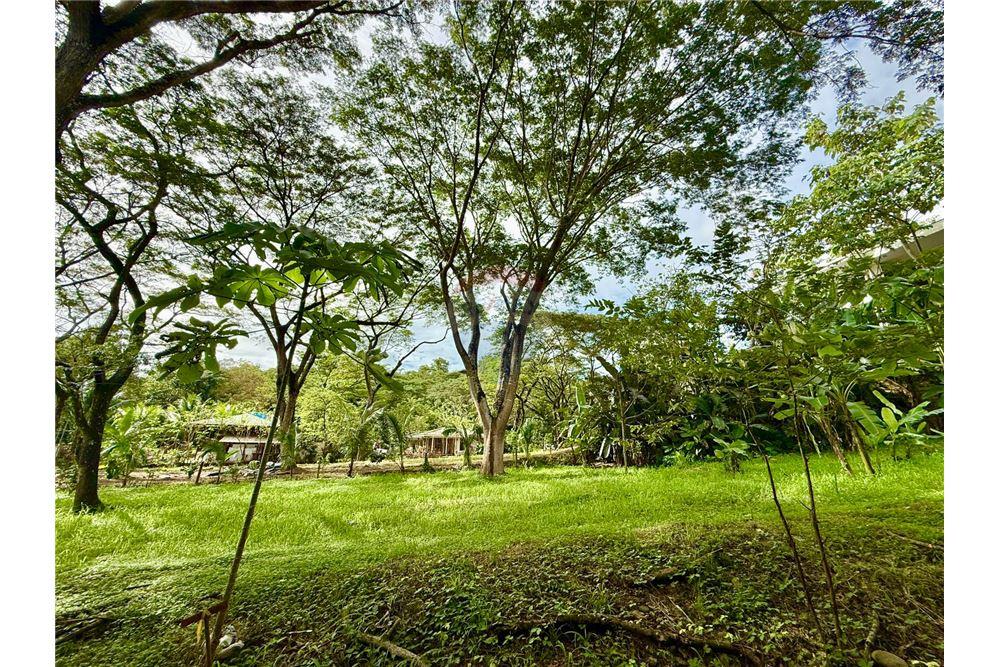 Commercial - Land - Jaco - Jaco, Puntarenas- Garabito, Costa Rica - Caribbean & Central Ameri - 2 - 90168015-205