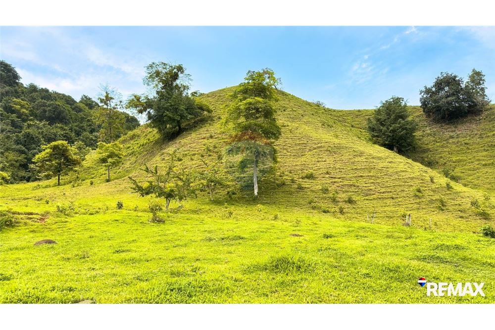Comercial - Terreno - Parrita, Puntarenas - Parrita, Costa Rica - Caribbean & Central Ameri - 13 - 90168003-467