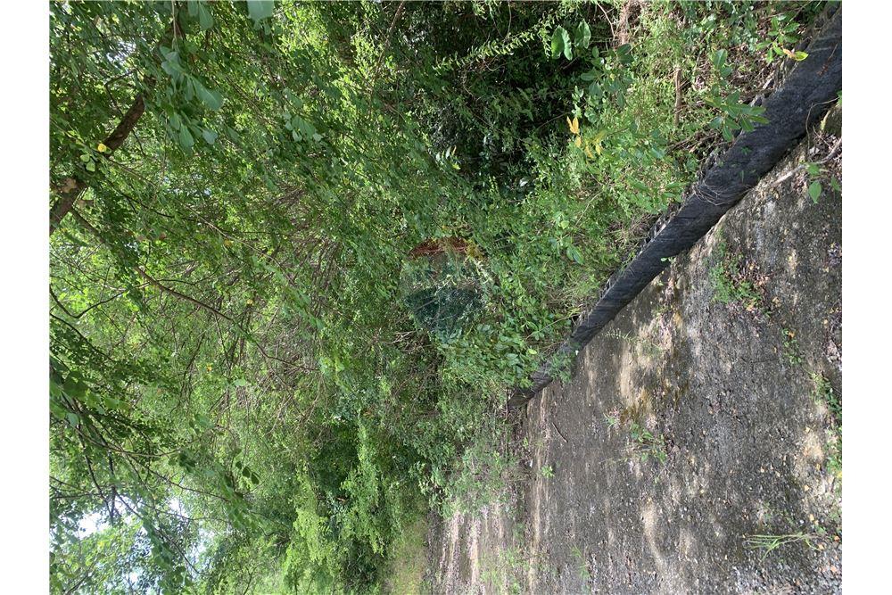 Commercial - Land - Gros Islet, Gros-Islet, St Lucia - Caribbean & Central Ameri - 8 - 902071001-212