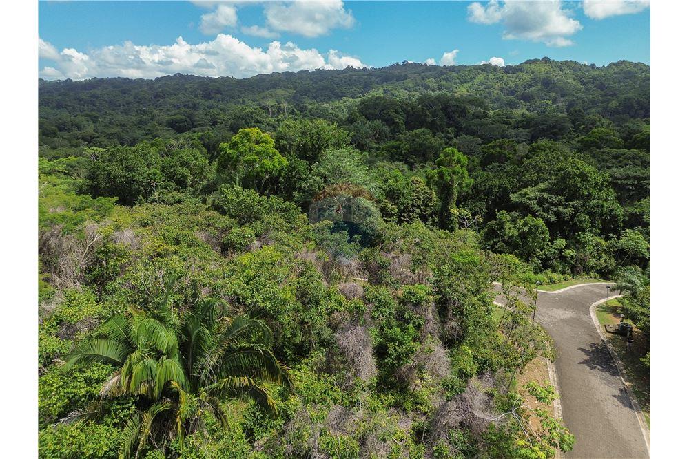 Commercio - Terreno - Parrita - Esterillos, Puntarenas - Parrita, Costa Rica - Caribbean & Central Ameri - 16 - 90168039-32