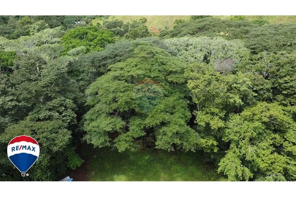 Commercio - Terreno - San José, San José, Costa Rica - Caribbean & Central Ameri - 24 - 90168030-67