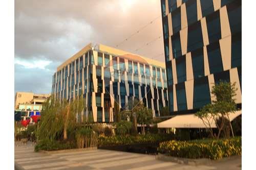 Large Admin Space With Private Entrance In Park St