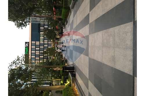 Large Admin Space With Private Entrance In Park St