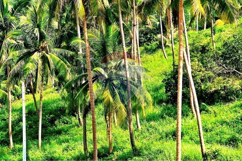 Slider Image Thumbnail