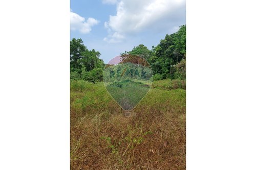 ขาย-ที่ดินสำหรับอยู่อาศัย-เกาะพะงัน, สุราษฎร์ธานี-920621004-122