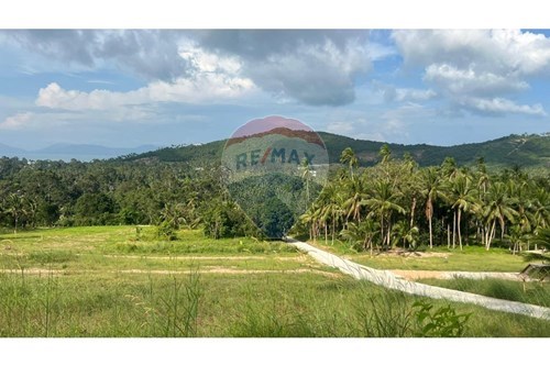ขาย-ที่ดินสำหรับอยู่อาศัย-Maenam  -  เกาะสมุย, สุราษฎร์ธานี-920121030-235