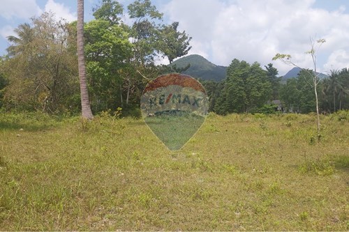 ขาย-ที่ดินสำหรับอยู่อาศัย-เกาะพะงัน, สุราษฎร์ธานี-920621004-42