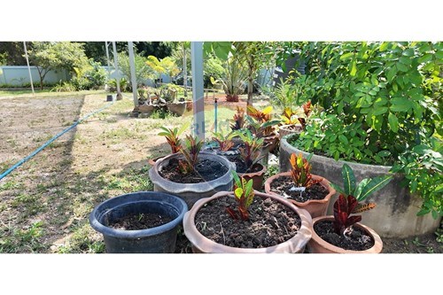 Slider Image Thumbnail