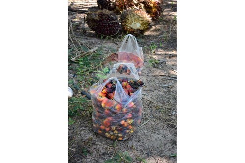 Slider Image Thumbnail