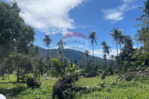 For Sale-Land - Residential-Maenam  -  Koh Samui, Surat Thani-920121083-32
