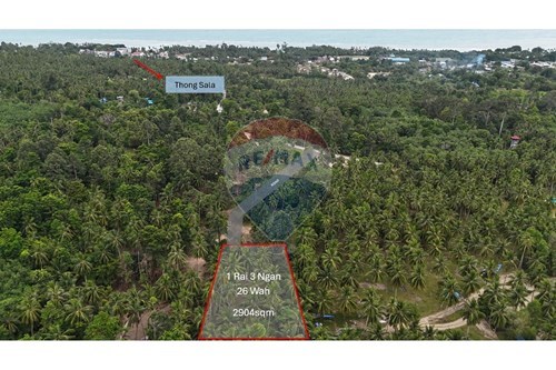 For Sale-Land - Residential-Madeua Wan - Ban Nai Suan  -  Koh Pha Ngan, Surat Thani-920621001-64