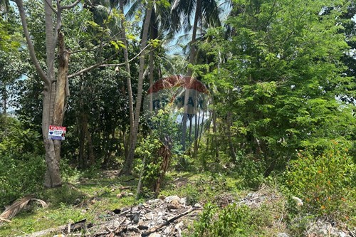للبيع-قطعة أرض-Thong Krut  -  Koh Samui, Surat Thani-920121001-2912