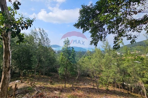 ขาย-ที่ดินสำหรับอยู่อาศัย-เกาะพะงัน, สุราษฎร์ธานี-920621004-27