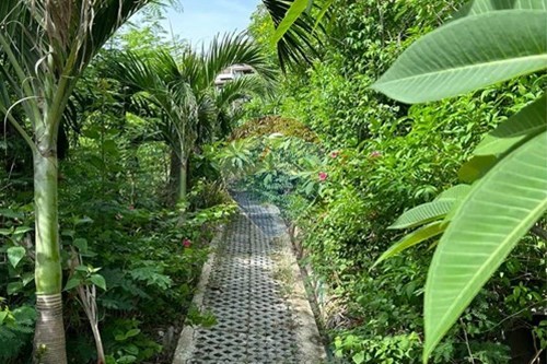Slider Image Thumbnail