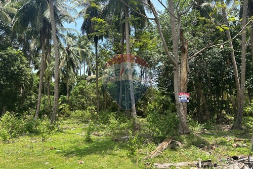 للبيع-قطعة أرض-Thong Krut  -  Koh Samui, Surat Thani-920121001-2911