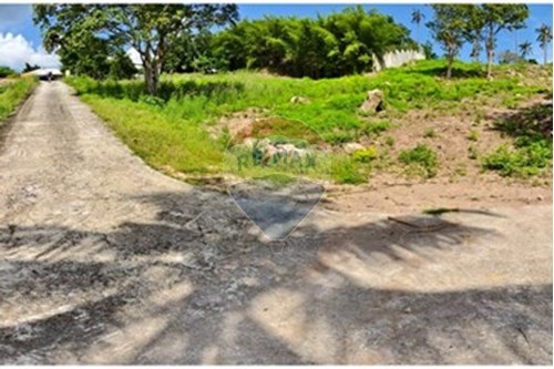 ขาย-ที่ดินสำหรับอยู่อาศัย-Maenam  -  เกาะสมุย, สุราษฎร์ธานี-920121060-113