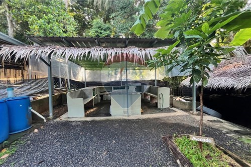 Slider Image Thumbnail