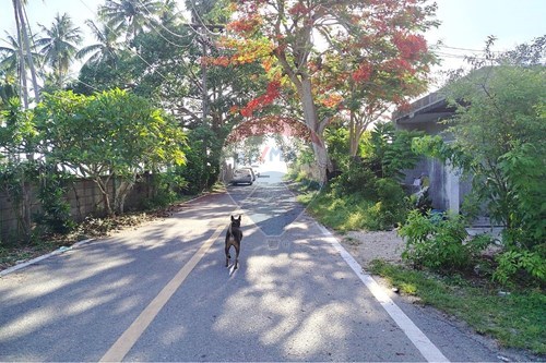 Slider Image Thumbnail