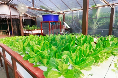 Slider Image Thumbnail