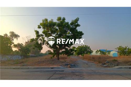 Коммерческая/розничная торговля - Полуподвал - Dagupan City, Pangasinan, Region I - Philippines - 6 - 950981001-9