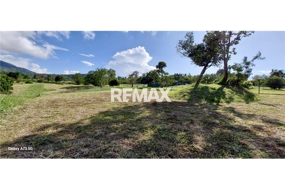 Residential - Άκτιστο οικόπεδο - Calamba City, Laguna, Region IV-A - Philippines - 4 - 950781041-7