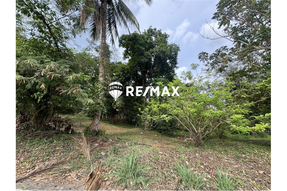 Residenční - Nezastavěný pozemek - Laurel, Batangas, Region IV-A - Philippines - 2 - 950761004-10