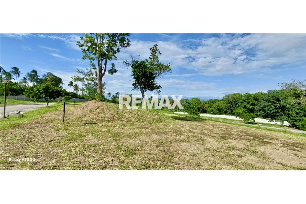 Residential - Άκτιστο οικόπεδο - Calamba City, Laguna, Region IV-A - Philippines - 2 - 950781041-7