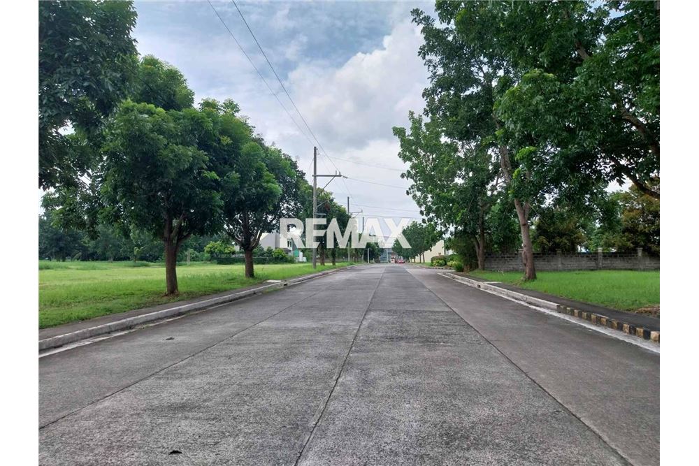 Elamine - Tühi kinnistu - Calamba City, Laguna, Region IV-A - Philippines - 8 - 950831016-2