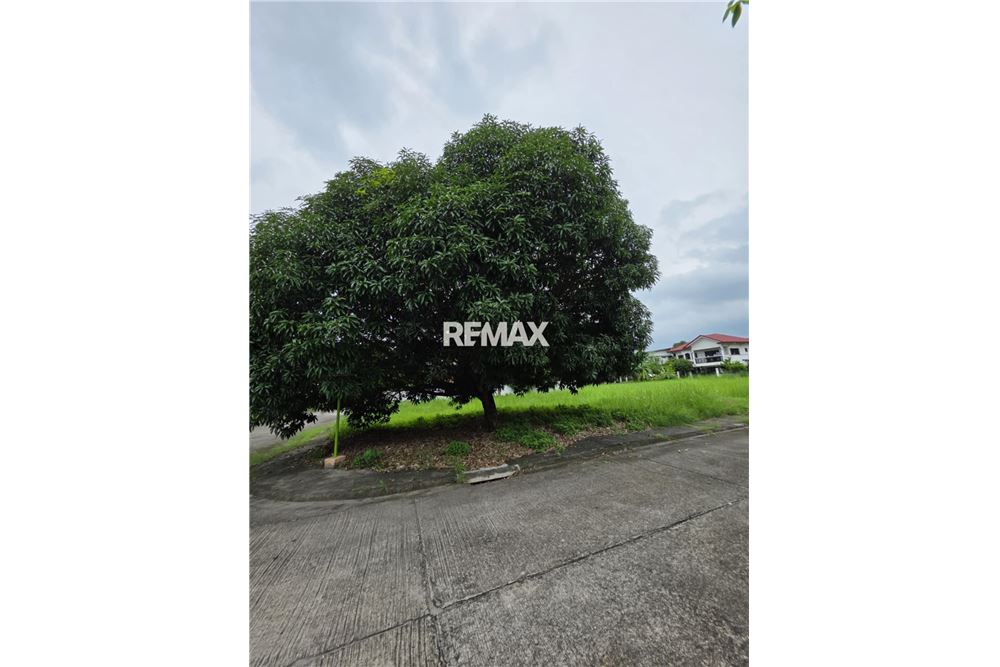 Elamine - Tühi kinnistu - Mabalacat City, Pampanga, Region III - Philippines - 2 - 951001001-17