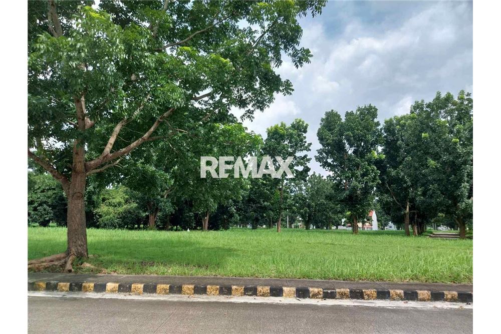 Elamine - Tühi kinnistu - Calamba City, Laguna, Region IV-A - Philippines - 4 - 950831016-2