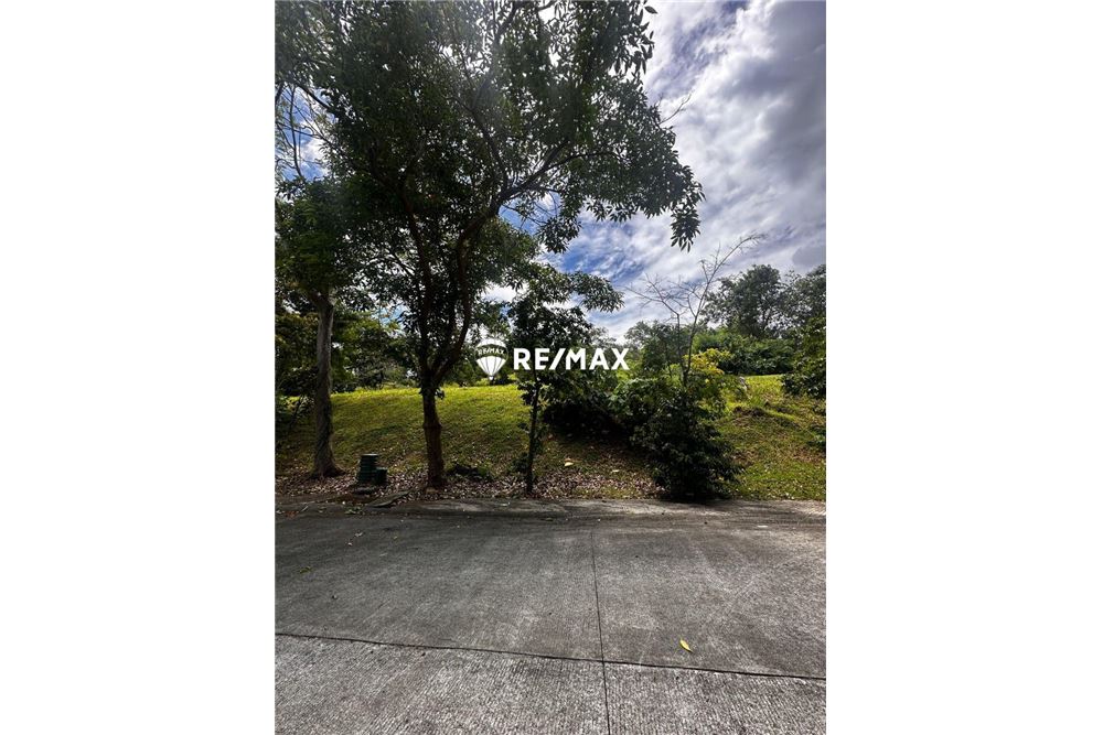 Residential - Zemljišče zapuščeno - Calamba City, Laguna, Region IV-A - Philippines - 2 - 950801015-12